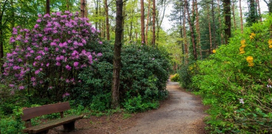 Jeli Arboretum Nature Reserve, Hungary, Hungary